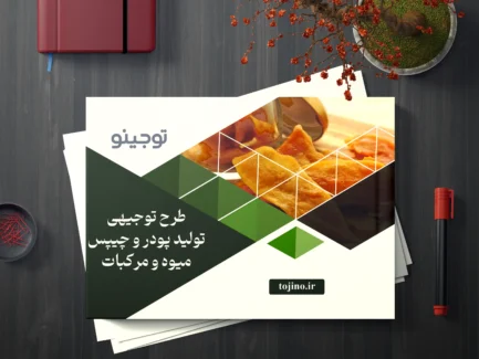 طرح توجیهی تولید پودر و چیپس میوه و مرکبات
