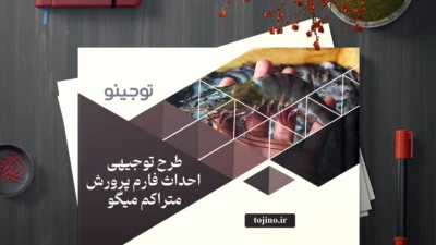 طرح توجیهی احداث فارم پرورش متراکم میگو