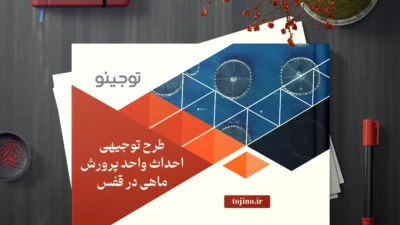 طرح توجیهی احداث واحد پرورش ماهی در قفس